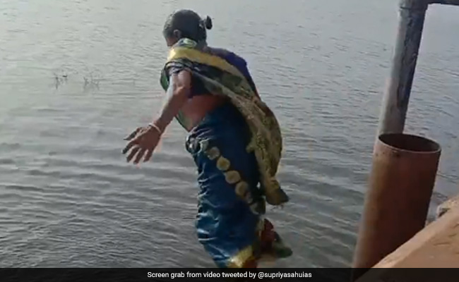 बुजुर्ग महिलाओं ने साड़ी पहनकर नदी में लगाई छलांग, ज़ोर-ज़ोर से लगाने लगीं गोते, देखकर आप भी रह जाएंगे दंग