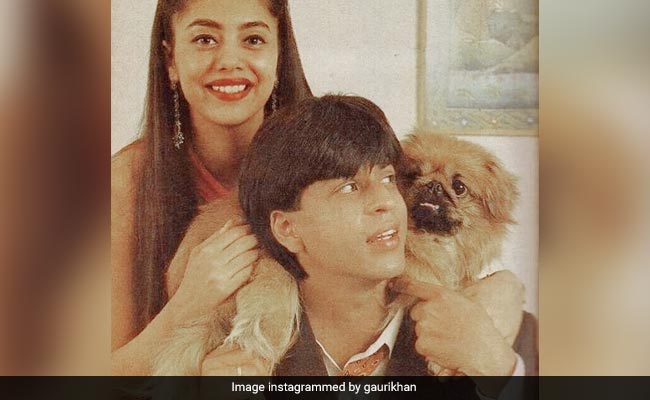 Valentine's Day 2023: शाहरुख खान ने 34 साल पहले वाइफ गौरी को क्या दिया था पहला वेलेंटाइन गिफ्ट, जानें यहां