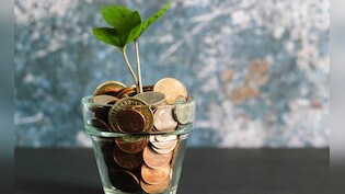 Business Idea: सिर्फ ₹10,000 लगाकर घर बैठे शुरू करें यह सुपरहिट बिजनेस, हर महीने से होगी ₹40,000 तक की कमाई!