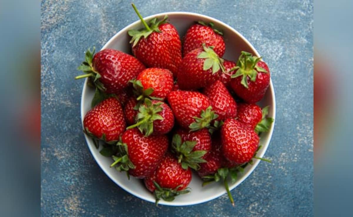 Latest and Breaking News on NDTV