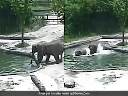 डूब रहे बेबी एलीफेंट को बचाने पानी में कूदे दो हाथी, दिल जीत रहा है VIDEO डूब रहे बेबी एलीफेंट को बचाने पानी में कूदे दो हाथी, दिल जीत रहा है VIDEO