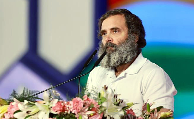 BJP Leader Tweets Rahul Gandhi's Speech, Mocks Him Over "<i>Satyagraha</i>"
