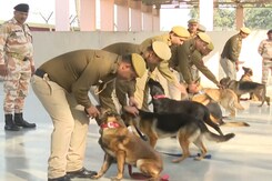 These Canine Warriors Will Secure G20 Summit Venues These Canine Warriors Will Secure G20 Summit Venues
