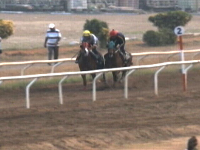 Indian Derby On Sunday: Country's Richest Race