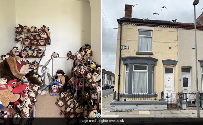 House Full Of Looney Tunes Toys Is On Sale In UK For Rs 79 Lakh