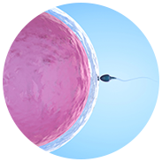 What are the emotional and psychological effects of infertility and IVF? What are the emotional and psychological effects of infertility and IVF?