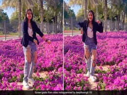 दीपिका सिंह बोगनवेलिया के फूलों के बीच मस्ती में कर रही थीं डांस और हुआ कुछ ऐसा, देखें VIDEO दीपिका सिंह बोगनवेलिया के फूलों के बीच मस्ती में कर रही थीं डांस और हुआ कुछ ऐसा, देखें VIDEO