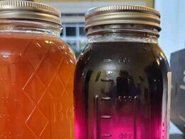 पृथ्वी पर एकमात्र इस जगह पाया जाता है Purple Honey, यहां देखें वायरल तस्वीर