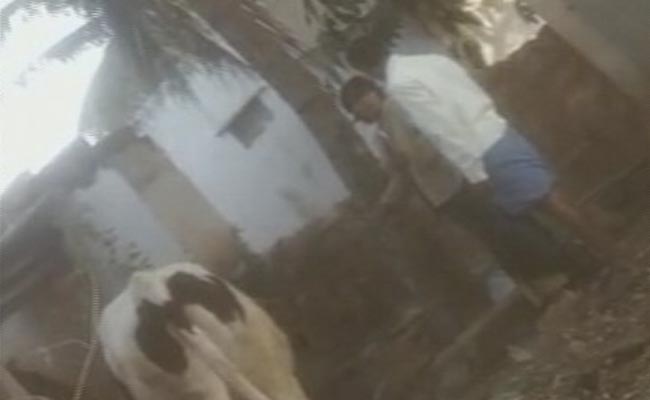 Karnataka Dalit Woman's Cow Strayed Into Field. She Was Beaten With Slippers