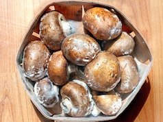 बैग में मशरूम कैसे उगाएं, बस फॉलो करें ये 5 स्टेप्स, न होगा ज्यादा खर्चा, न लगेगी ज्यादा जगह!