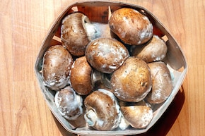 बैग में मशरूम कैसे उगाएं, बस फॉलो करें ये 5 स्टेप्स, न होगा ज्यादा खर्चा, न लगेगी ज्यादा जगह!