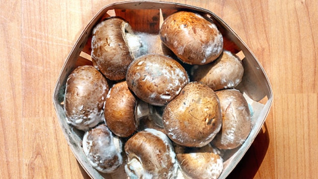 Some mushrooms contain compounds with potent anticancer properties