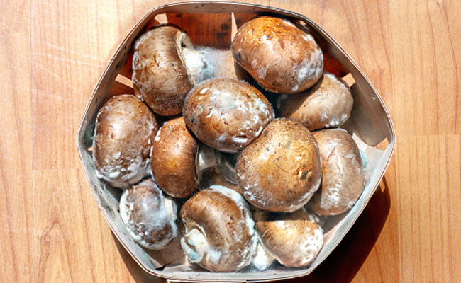 Some mushrooms contain compounds with potent anticancer properties