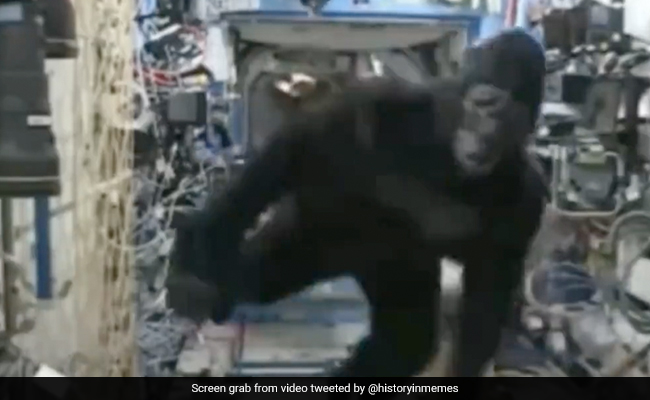 Astronaut Wears Gorilla Suit, Pranks Crew In Space. Old Video Goes Viral