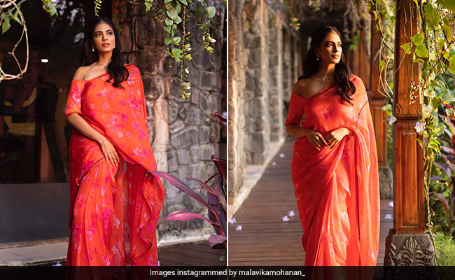 Malavika Mohanan's Bright Printed <i>Saree</i> Comes Knocking At Spring's Entry