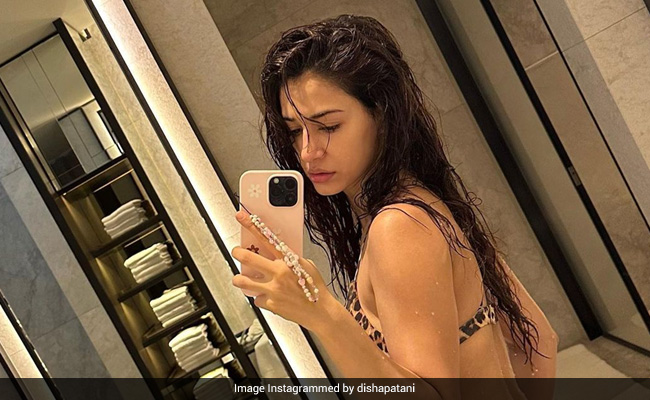 Take A Wild Guess What Disha Patani's Latest Mirror Selfie OOTD Is