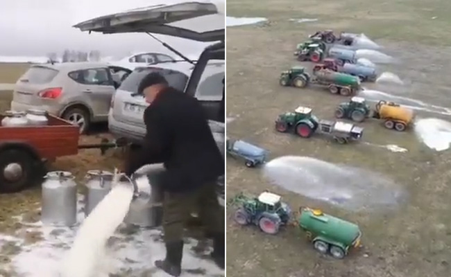 VIDEO: खुले मैदान में पानी की तरह दूध बहा रहे हैं Lithuania के किसान, जानिए इसके पीछे की वजह