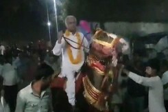 BJP Leader Rides Horse At Party's Vikas Yatra In Madhya Pradesh BJP Leader Rides Horse At Party's Vikas Yatra In Madhya Pradesh