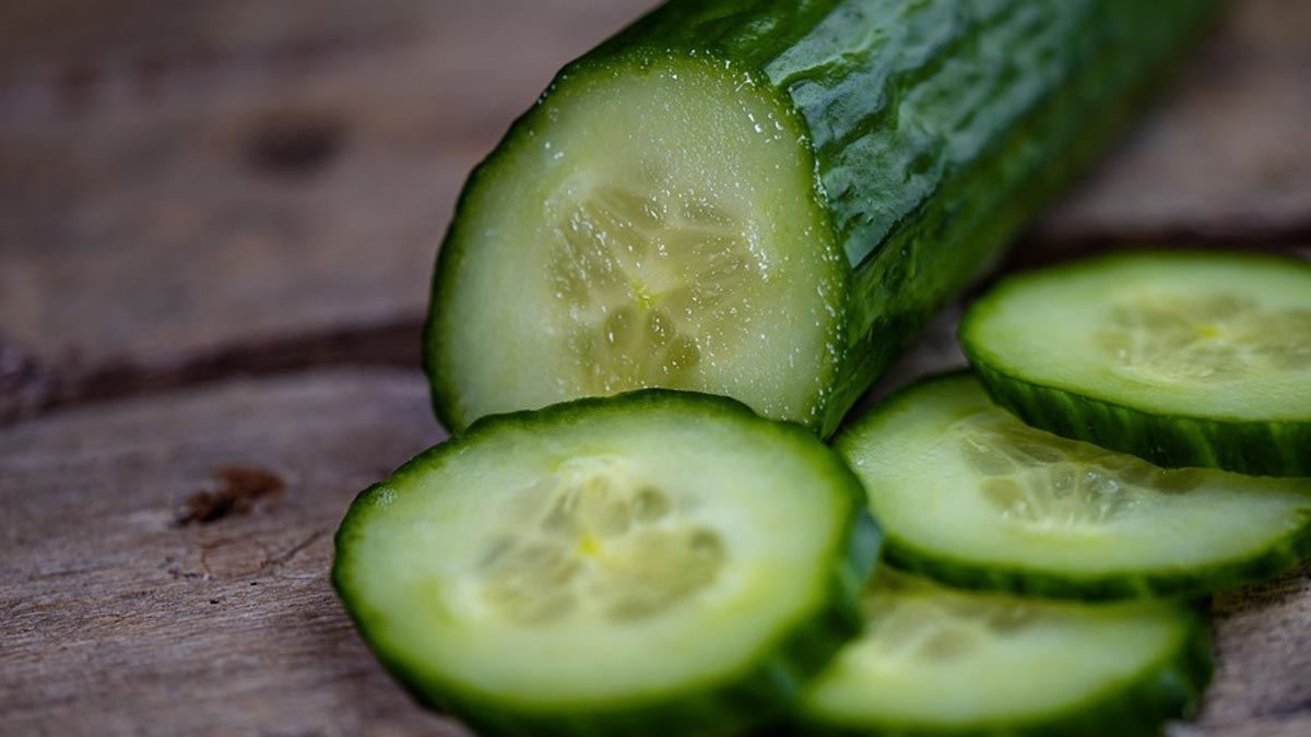 Weight loss के लिए खीरा है हीरा, आज ही करें डाइट में शामिल, जानें इसके फायदे 