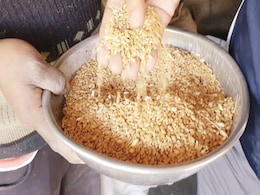 MP: सरकारी गेहूं का वजन बढ़ाने के लिए मिला रहे रेत-धूल, VIDEO वायरल होने पर 6 के खिलाफ FIR MP: सरकारी गेहूं का वजन बढ़ाने के लिए मिला रहे रेत-धूल, VIDEO वायरल होने पर 6 के खिलाफ FIR