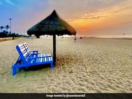 Valentine वीक पर घूमने जाने का है प्लान? IFS ऑफिसर ने शेयर की पुरी के इन Golden Beach की तस्वीरें Valentine वीक पर घूमने जाने का है प्लान? IFS ऑफिसर ने शेयर की पुरी के इन Golden Beach की तस्वीरें
