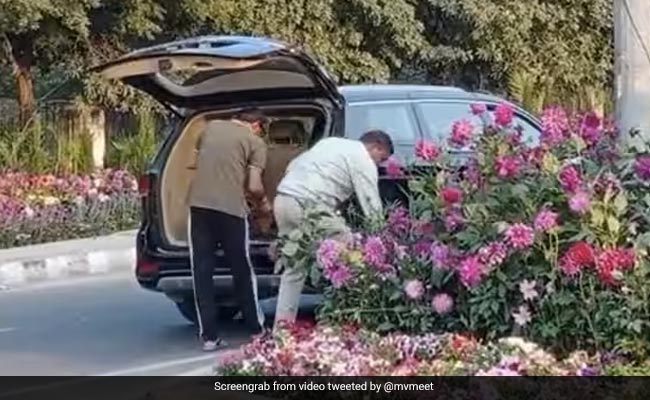 Nagaland Minister Pokes Fun At G20 Flower Pots Theft Accused. See Tweet