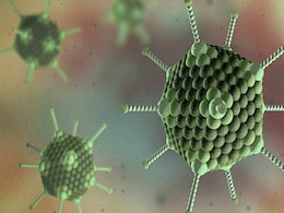 Adenovirus: बंगाल में बढ़ रहा है एडेनोवायरस का खौफ! क्या आपको डरना चाहिए? जानिए कैसे फैलता है, लक्षण और इलाज... Adenovirus: बंगाल में बढ़ रहा है एडेनोवायरस का खौफ! क्या आपको डरना चाहिए? जानिए कैसे फैलता है, लक्षण और इलाज...