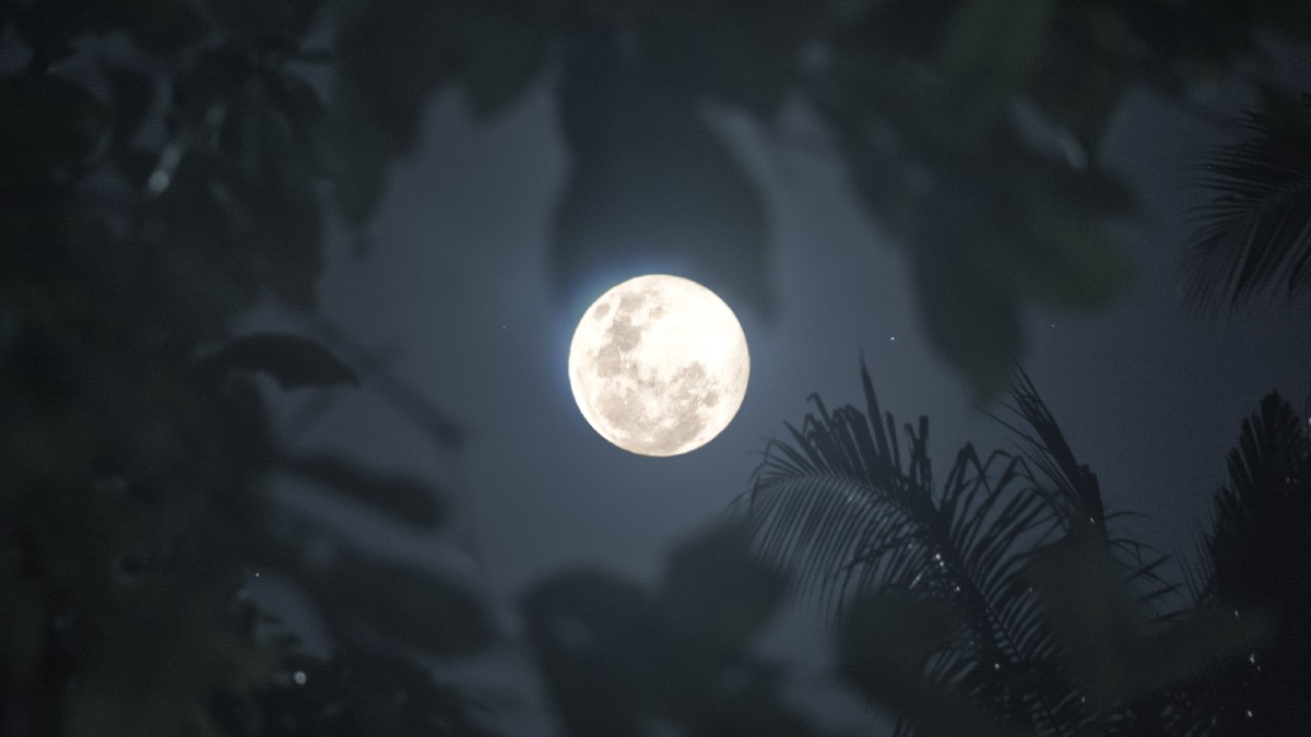Does Moon Appear Upside Down In Australia? Viral Post Stuns Internet