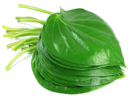 Betel leaves benefits : पान के पत्ते इस बीमारी में होते हैं बहुत असरदार जानिए उसका नाम Betel leaves benefits : पान के पत्ते इस बीमारी में होते हैं बहुत असरदार जानिए उसका नाम