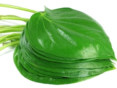 पान को संस्कृत में क्या कहते हैं? खाली पेट पान का पत्ता खाने से कौन सी बीमारी दूर होती है Recipe