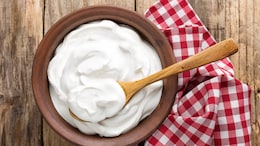 How To Make Whipped Cream Without A Whisk Or A Blender? Easy Recipe For Beginners