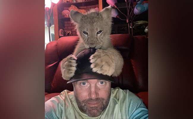 OMG : दो शेरों के बीच फंस गया ये शख्स, वीडियो देखकर आप हैरान हो गएंगे, देखें Viral Video