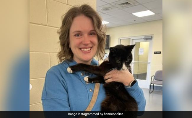 Missing Cat Reunited With Owner After 9 Years. Here's How
