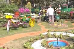 Two-Day Flower Festival 'Palaash' Being Held In Delhi Two-Day Flower Festival 'Palaash' Being Held In Delhi