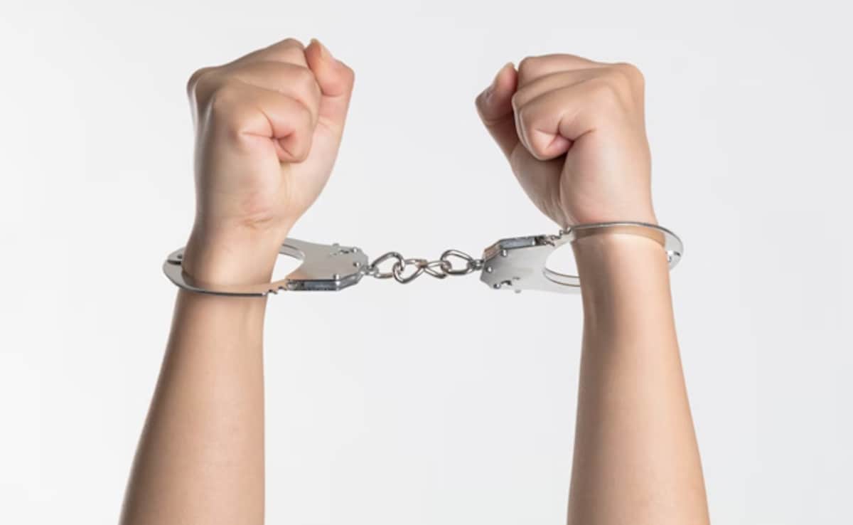 The Art of Baking: From Classic Bread to Artisan Pastries