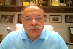 "30% Rabies Deaths Happen In India": Expert On Stray Dog Menace "30% Rabies Deaths Happen In India": Expert On Stray Dog Menace