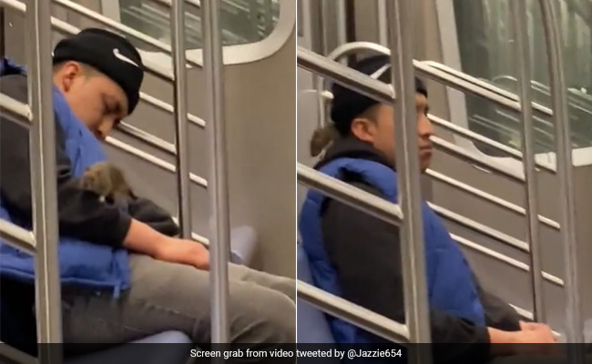 Watch: Rat Crawls On A Sleeping Man On New York Subway, Internet Stunned