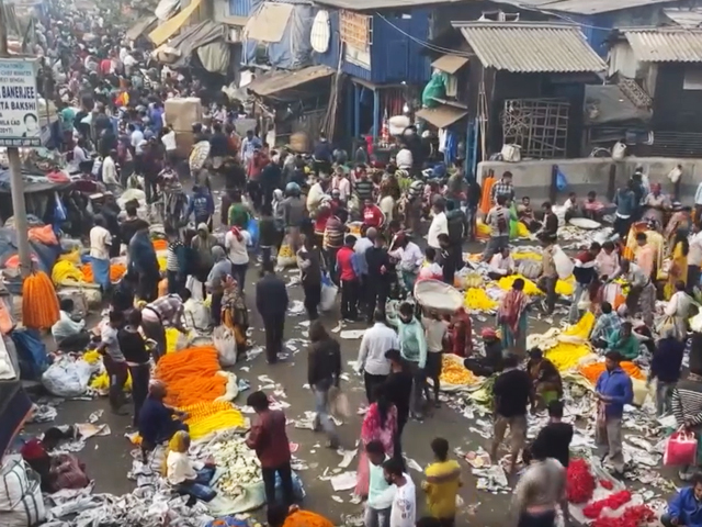 कोलकाता का ये फ्लावर मार्केट है फूल खरीदारों के लिए 'वन स्टॉप डेस्टिनेशन' कोलकाता का ये फ्लावर मार्केट है फूल खरीदारों के लिए 'वन स्टॉप डेस्टिनेशन'