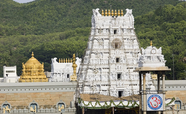 Tirupati Pilgrims Will Now Have To Carry A Wooden Stick. Here's Why