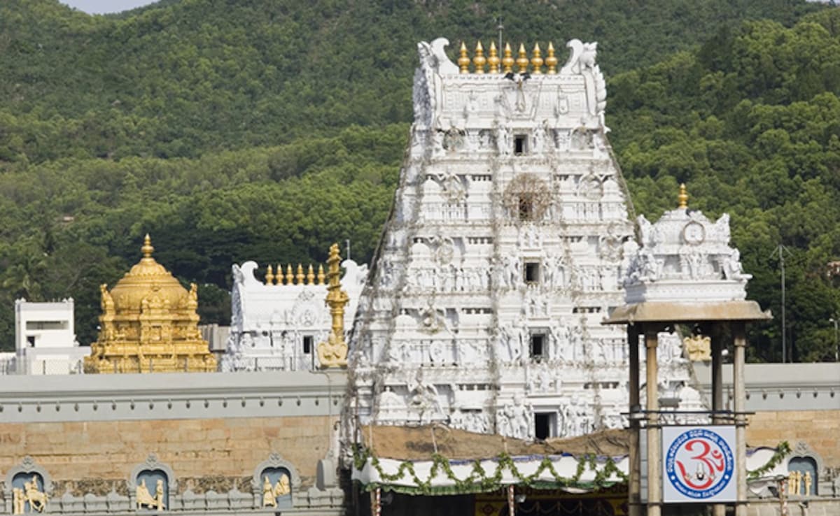 Tirupati Laddoos Row Explained: Who Said What, Where Ghee Came From