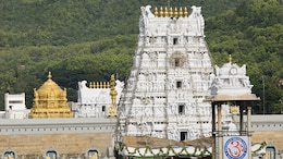Tirupati Laddoos Row Explained: Who Said What, Where Ghee Came From
