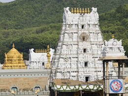 Tirupati Laddoos Row Explained: Who Said What, Where Ghee Came From Tirupati Laddoos Row Explained: Who Said What, Where Ghee Came From