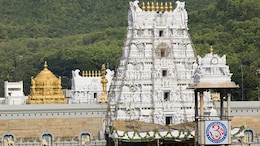Never Supplied Ghee To Tirupati Temple, Says Amul Amid Laddoo Row