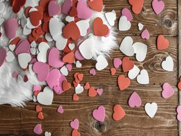 WhatsApp Launches Valentine's Day Stickers Pack: How To Download, And Send WhatsApp Launches Valentine's Day Stickers Pack: How To Download, And Send