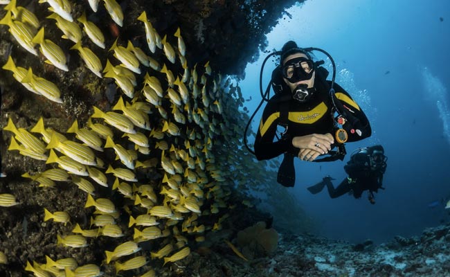 Top 7 Destinations To Go Scuba Diving In India For An Adventurous Experience