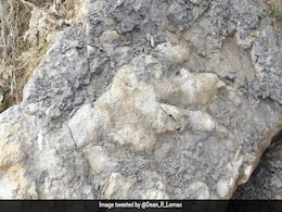 3 Feet-Long Dinosaur Footprint Left Over 160 Million Years Ago Found In UK 3 Feet-Long Dinosaur Footprint Left Over 160 Million Years Ago Found In UK