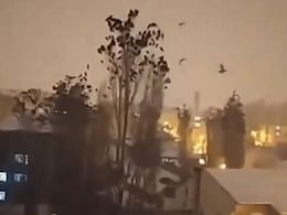 तुर्की में भूकंप से पहले पक्षियों ने किया था अलर्ट! सामने आया आसमान में मंडराते पक्षियों का VIDEO तुर्की में भूकंप से पहले पक्षियों ने किया था अलर्ट! सामने आया आसमान में मंडराते पक्षियों का VIDEO