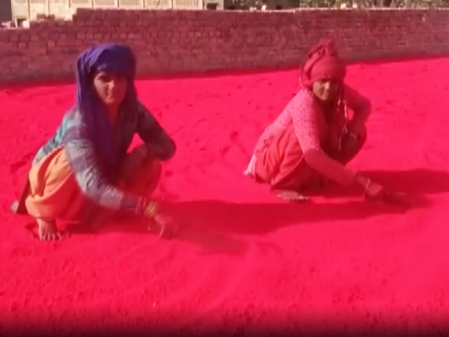 This Holi, Go Natural With Colours Made From Flowers