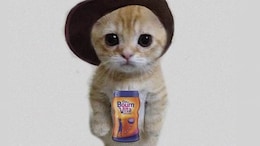 Swiggy's Latest 'Bournvita' Meme Makes The Internet Nostalgic