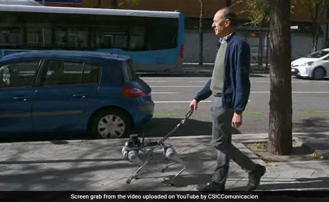 This Robot Dog Is Aware of traffic Signals, Can Help Specially Abled People